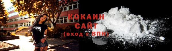 гидра Богородск