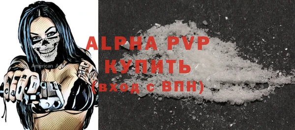 гидра Богородск