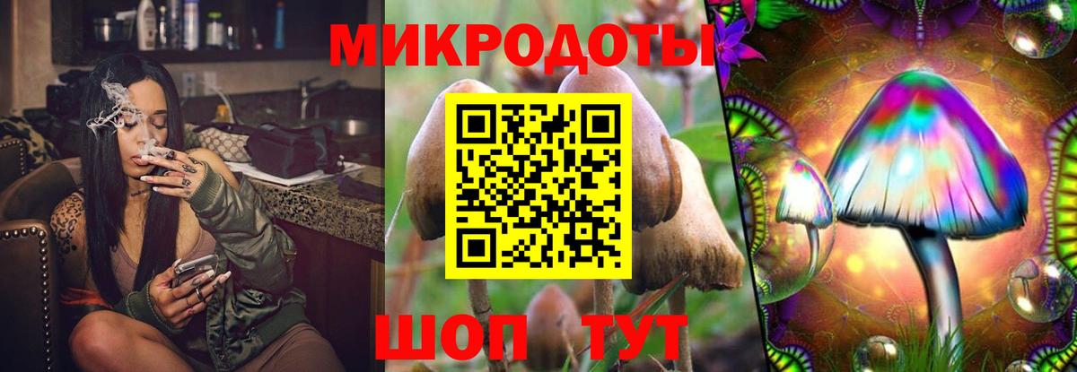 Галлюциногенные грибы Cubensis Богородск
